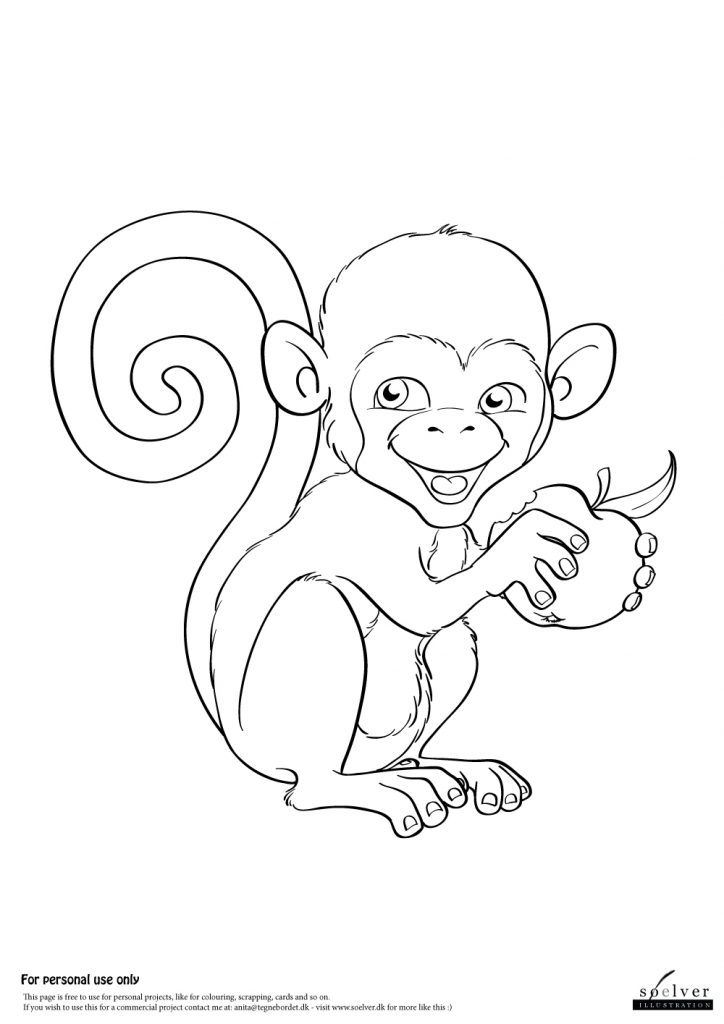 Monkey | Coloring Page